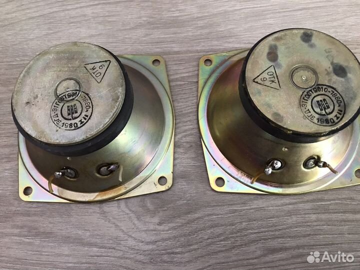 Динамики 3гд-31 (пара)