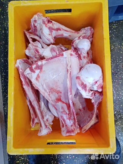 Кости для собак