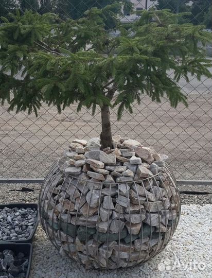 Вазоны для цветов, габионы