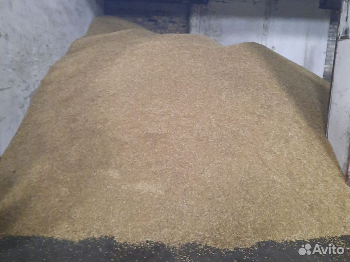 Овес, пшеничные отходы