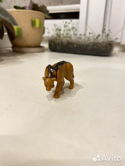 Игрушки Животные из Киндер-сюрприза