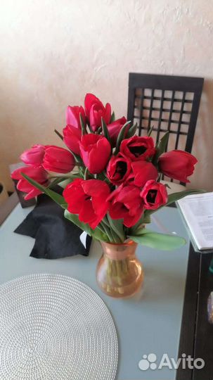 101 Роза Цветы Букеты 25 51 151 201 Доставка