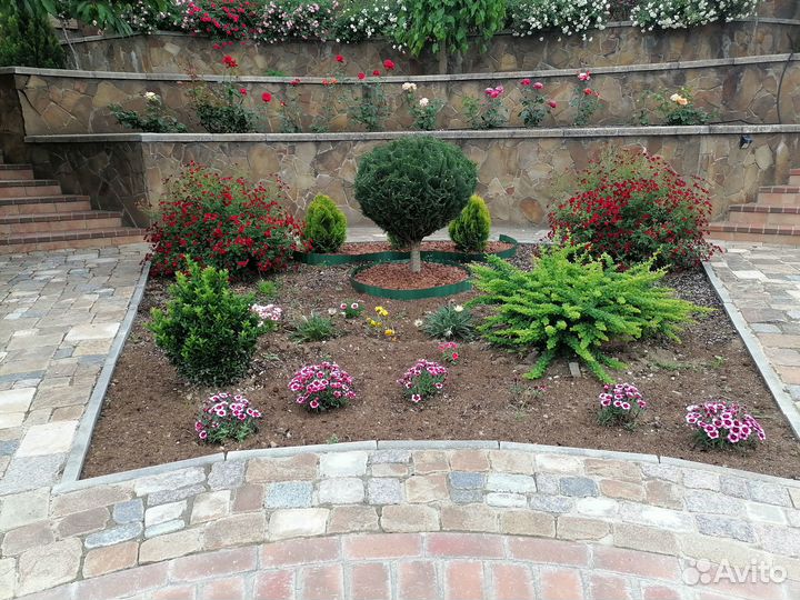 Услуги садовника