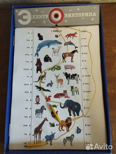 Электровикторина