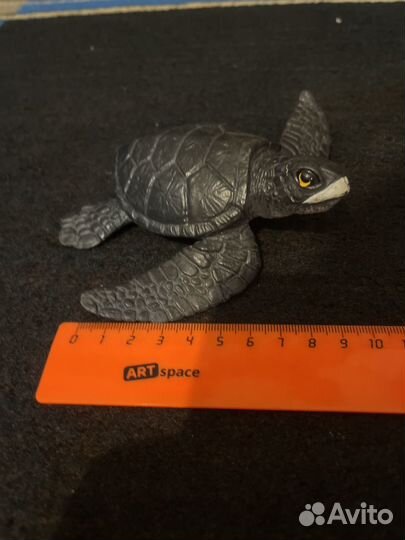 Красивые модели черепахи