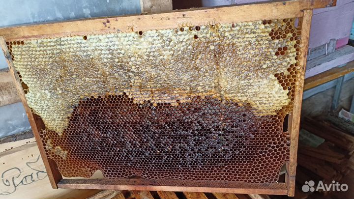 Ульи, сушь для пчел