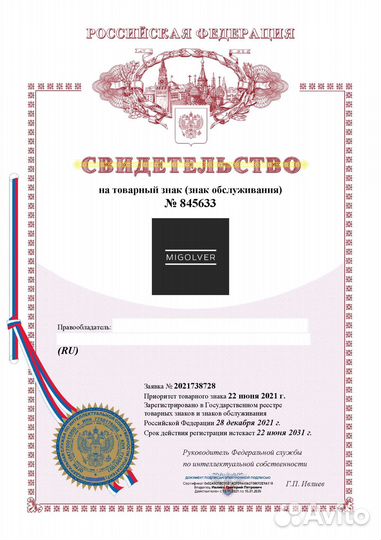 Регистрация товарного знака с проверкой