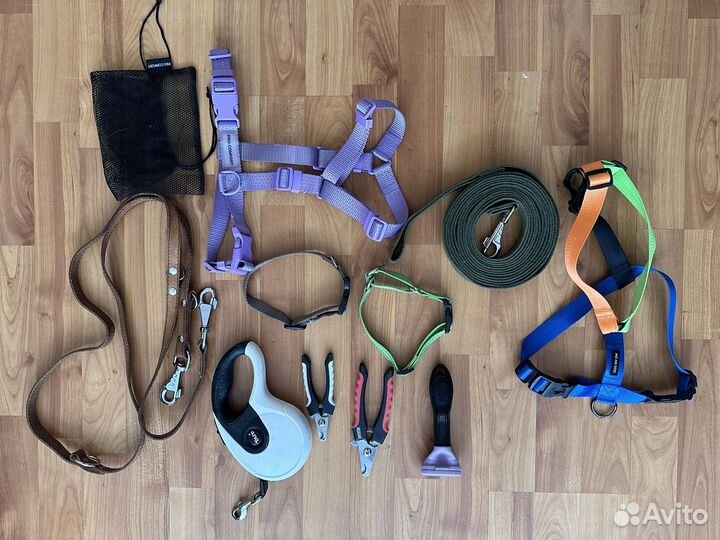 Шлейка для собак, поводок рулетка лента 5м