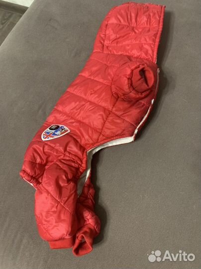 Одежда для собак бу