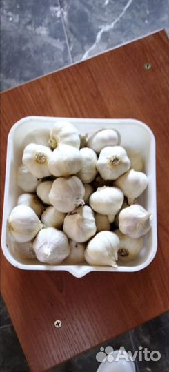 Чеснок летний