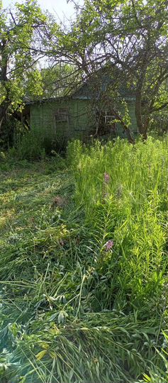 Дача 10 м² на участке 6 сот.