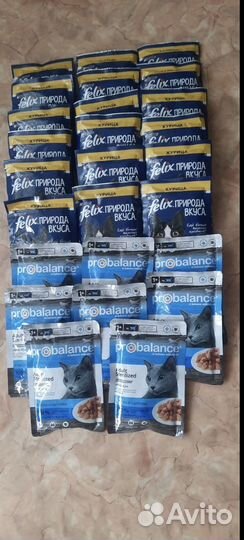 Влажный корм для кошек