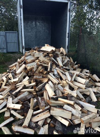 Дрова береза