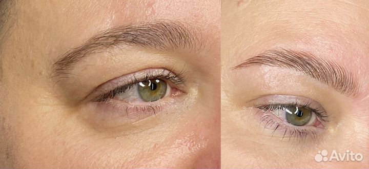 Мастер бровист