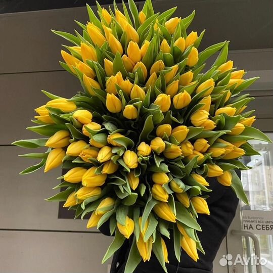 Тюльпаны Моя Весна