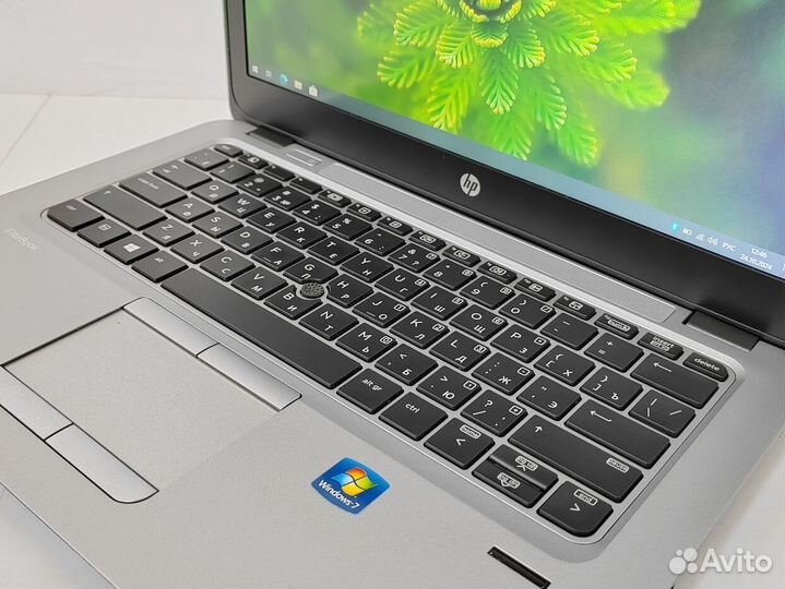 8gb SSD HP EliteBook для игр учебы работы Ноутбук