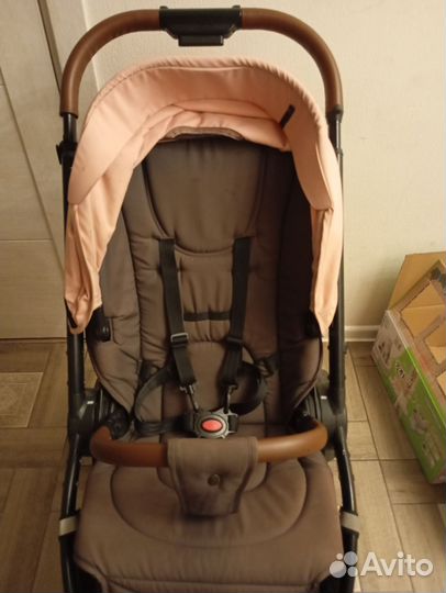 Прогулочная коляска Rant Bloom