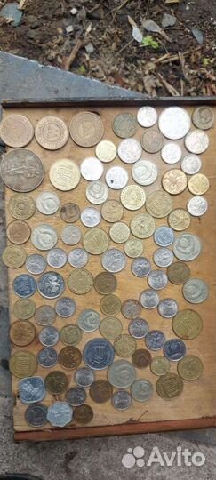 Монеты