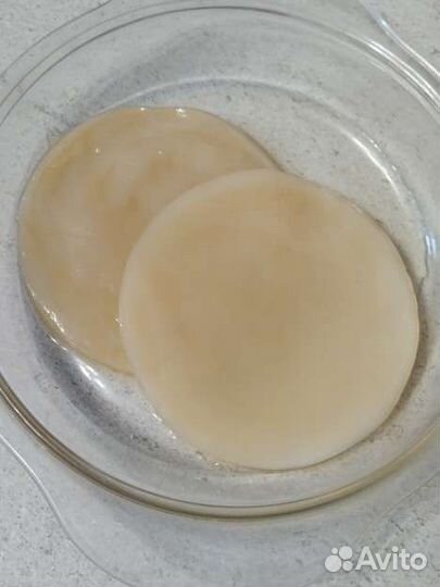 Чайный гриб