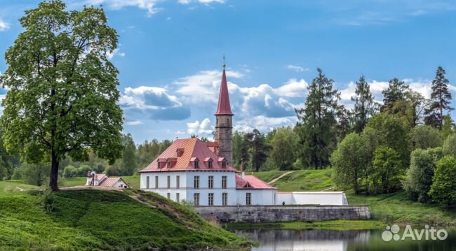 Билеты Ночь света заповедник Гатчина 1/2