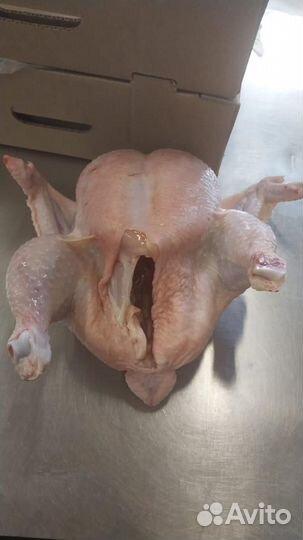 Тушка цыпленка бройлера (охлажденная)