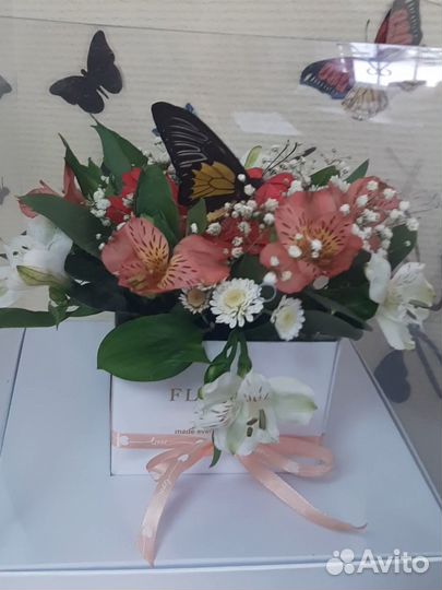 Цветы и живые бабочки