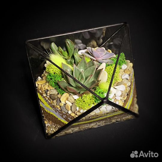 Флорариум 