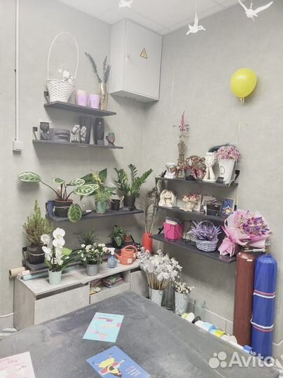 Цветочный магазин готовый бизнес