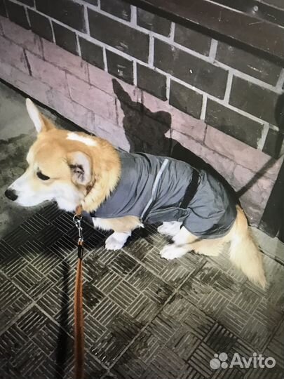 Жилетка (комбинезон) утепленная Тузик для собаки