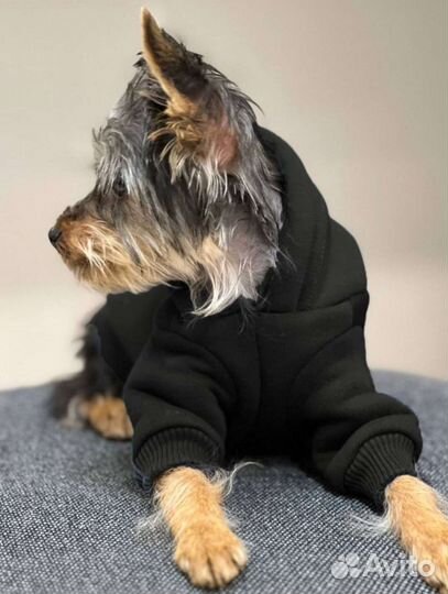 Худи для собак