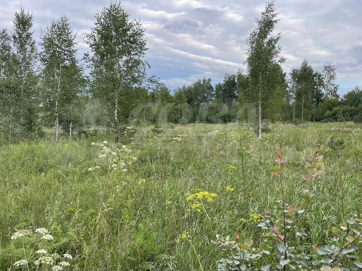 Участок 11,7 сот. (ИЖС)