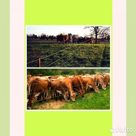 Электропастух