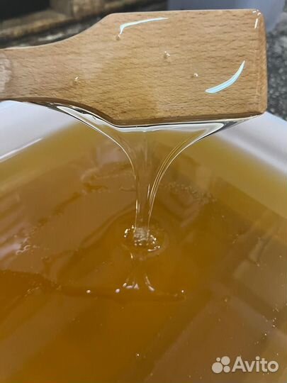 Акациевый мед оптом