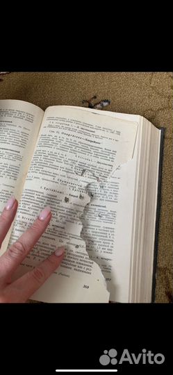 Флора средней полосы