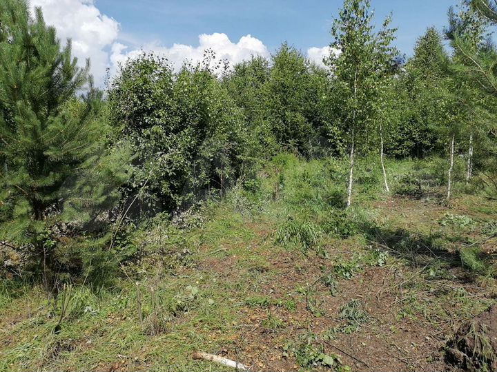 Участок 22 сот. (СНТ, ДНП)