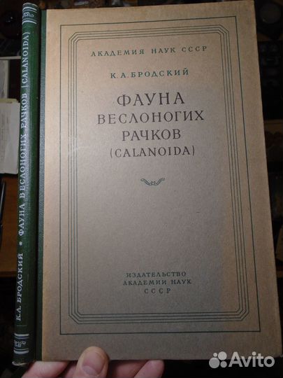 Бродский Фауна веслоногих рачков (ан СССР, 1957)