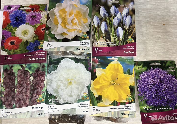 Луковицы тюльпанов