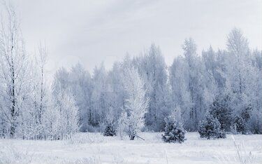 Участок 17 сот. (ИЖС)