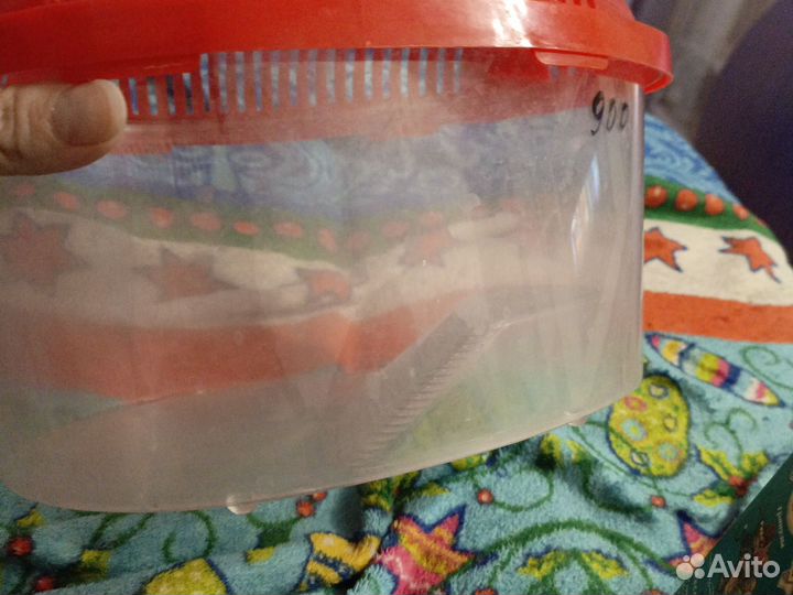 Контейнер-переноска для черепах