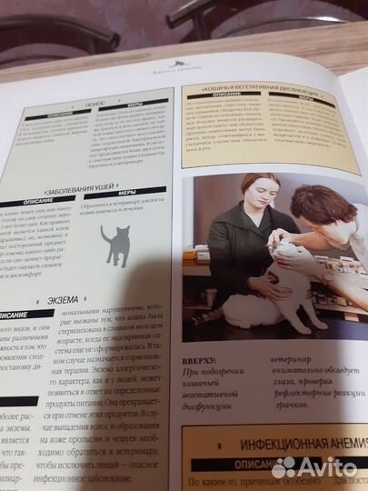 Книга журналы все о кошках