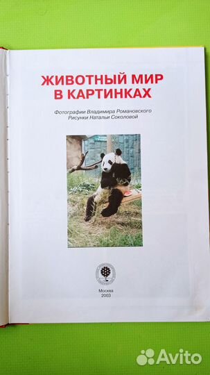 Книга-энциклопедия Животный мир в картинках