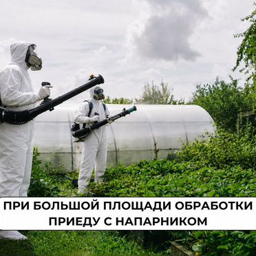 Обработка от клещей, тараканов, клопов Дезинфекция