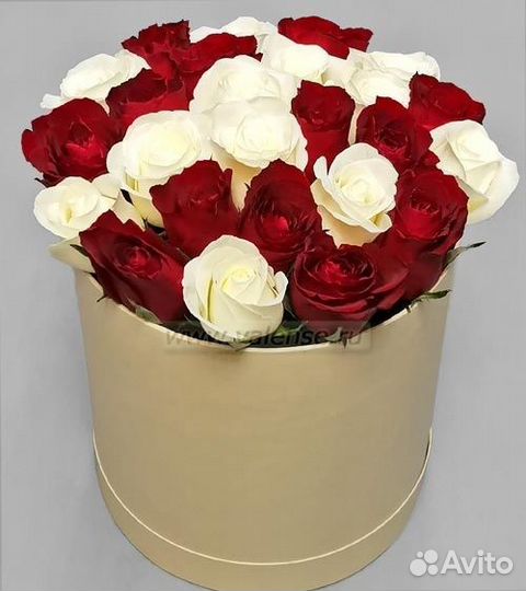 25 роз в шляпной коробке Бесплатная доставка