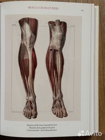 Atlas of human anatomy and surgery