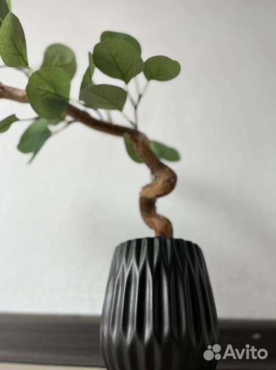 Эвкалипт искусственный