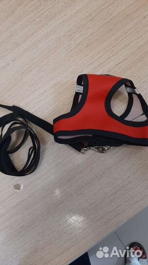 Шлейка+поводок для котят и маленьких собак, s-sm