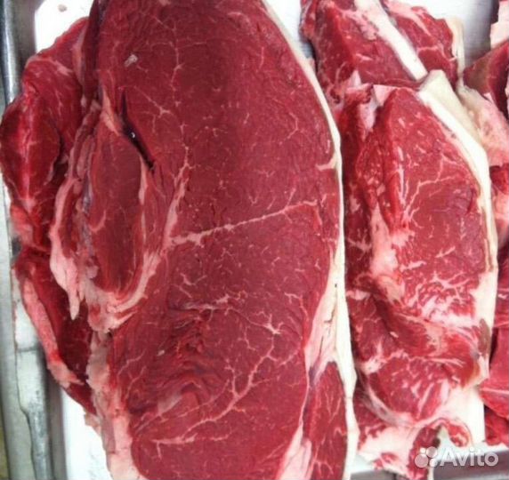 Продам мясо говядина и конина Халяль