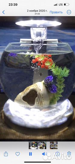 Аквариум с водопадом