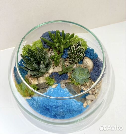 Флорариум с суккулентами и водоемом
