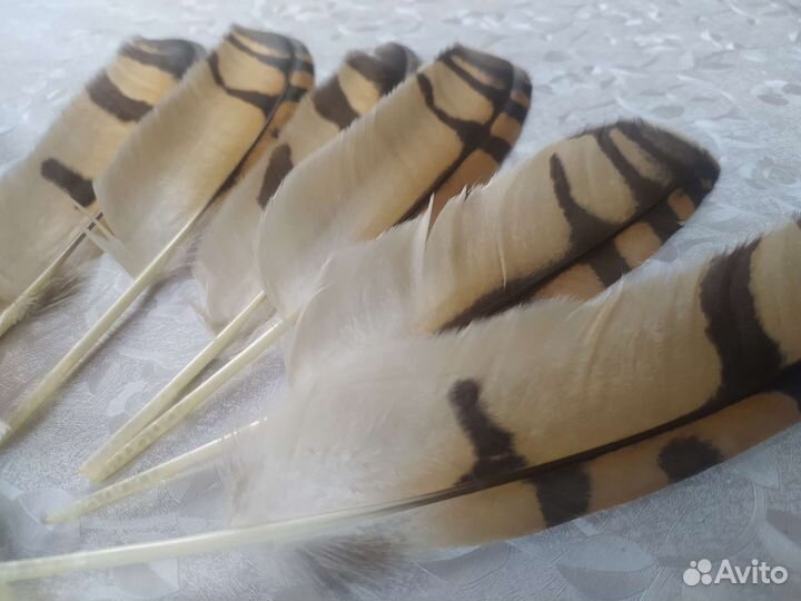 Перо птицы,наборы для рукоделия и творчества